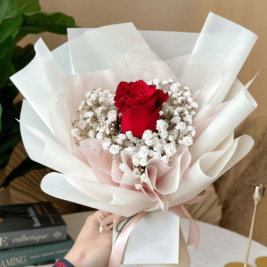 Ardour - Lahore Basket