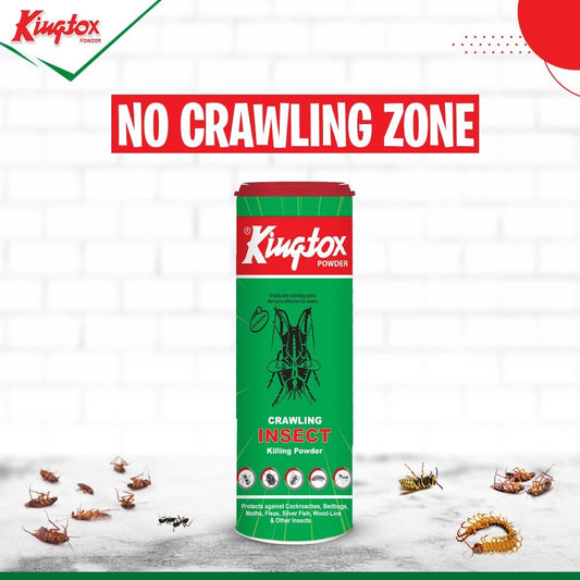 Kingtox Crawling Insect Killing powder 125 gm - Lahore Basket