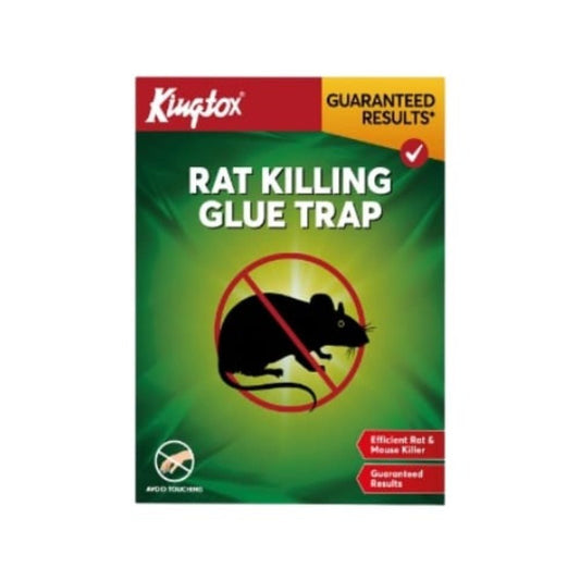 Kingtox Mouse & Rat Killer Glue Trap - Lahore Basket