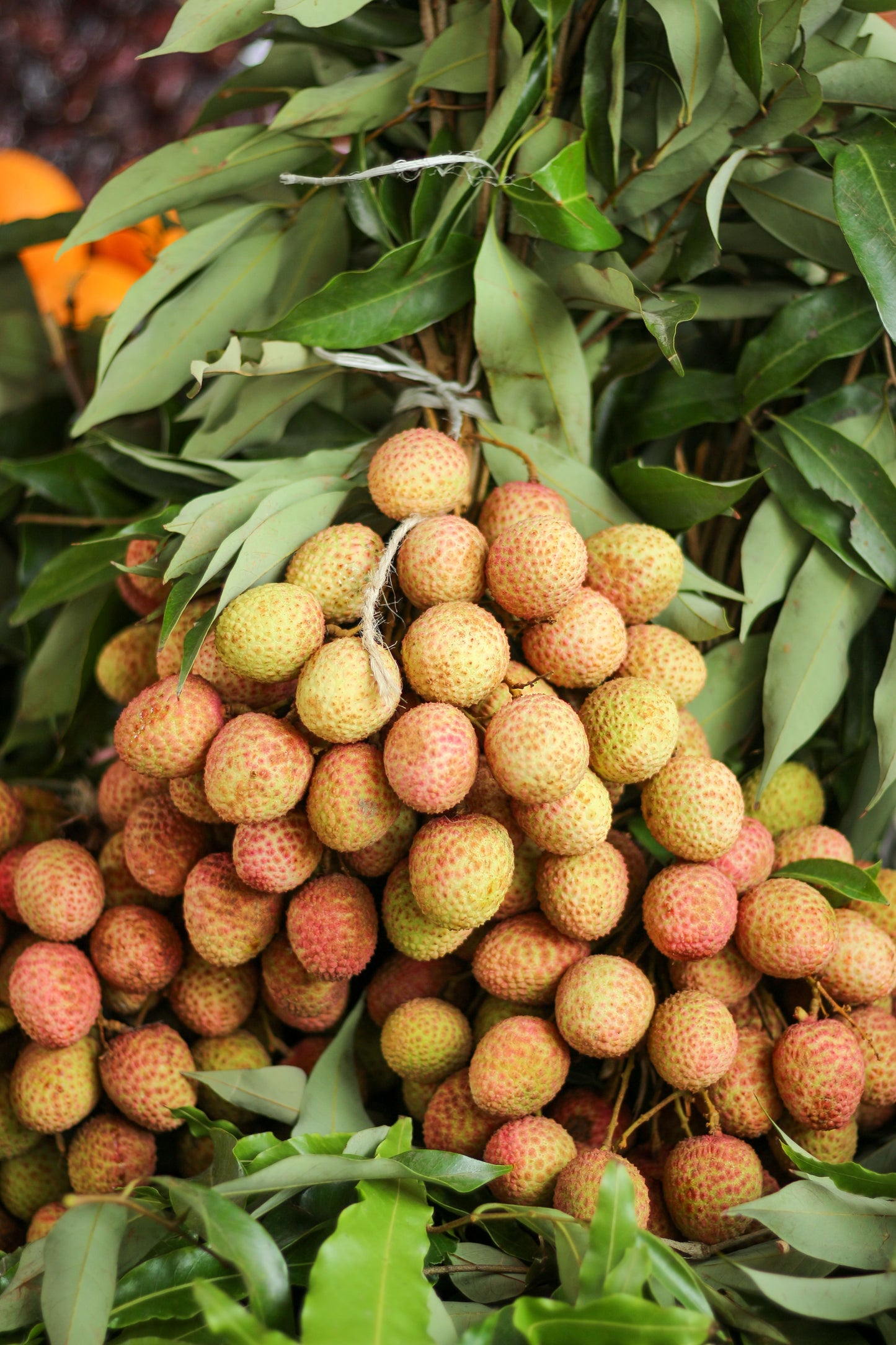 Lychee 1kg