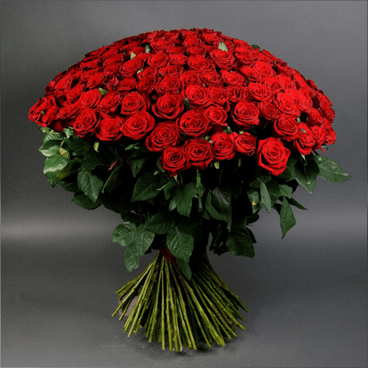 Red Boom - Lahore Basket