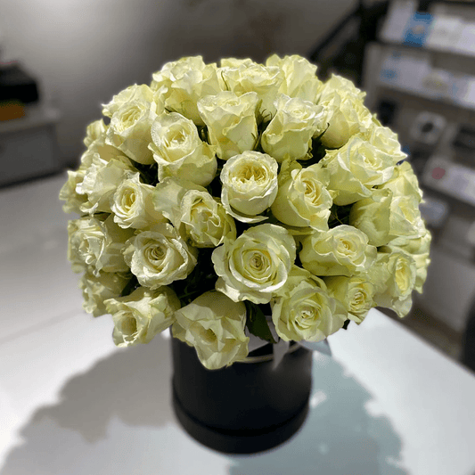 Rejoice - Lahore Basket