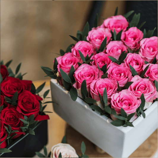 Retreat - Lahore Basket