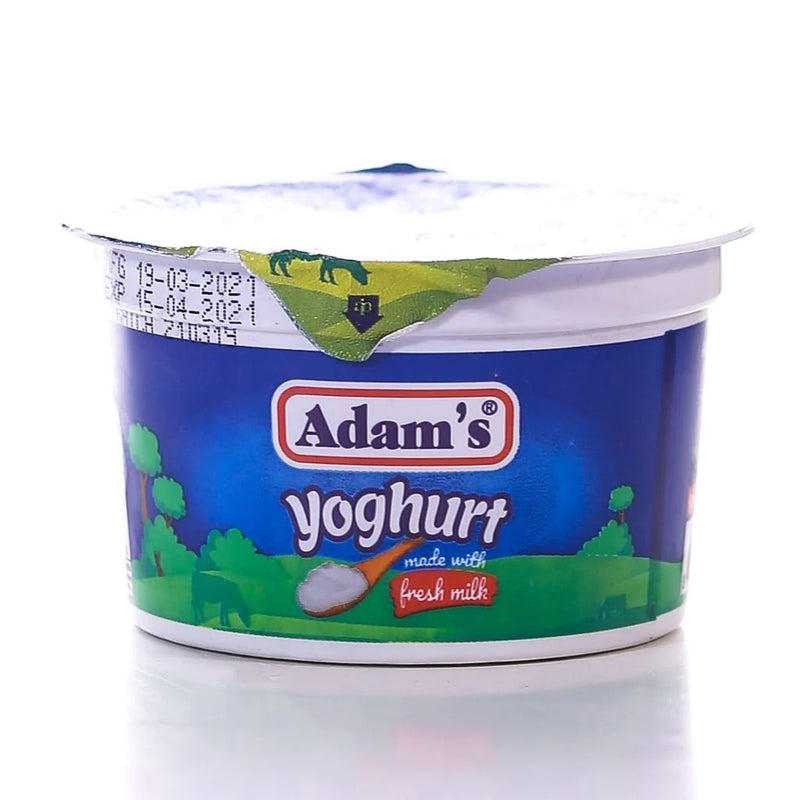 Adams Natural Yogurt 200 gm