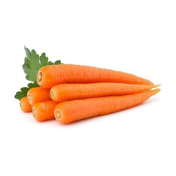 China Carrot