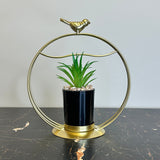 Bird Globe Plant 1 Pcs