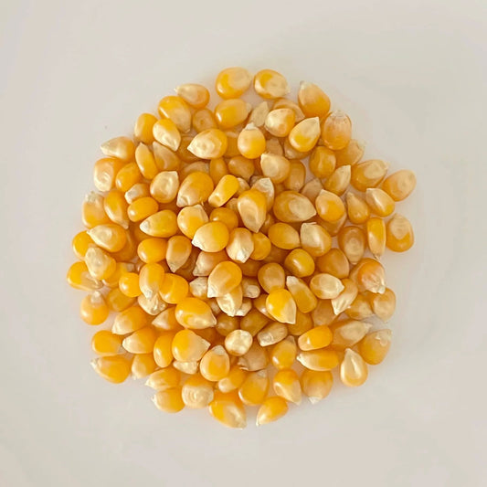Shahnaz Corn 50 gm