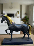 Black Rasin Horse Showpice - Lahore Basket