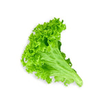 Lettuce Leaves سلاد پتہ - Lahore Basket