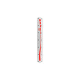ORO Plastic Scale 12 Inch - Lahore Basket