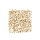 Shahnaz White Till (Sesame Seed) 50 gm - Lahore Basket